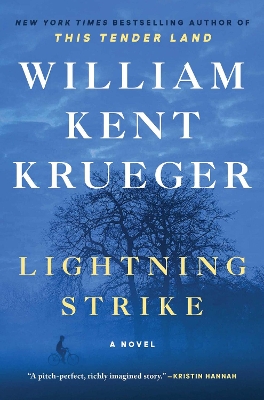 Book cover for Lightning Strike