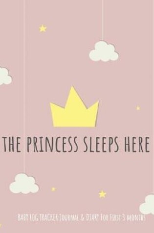 Cover of "The Princess Sleep Here"