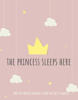 Book cover for "The Princess Sleep Here"