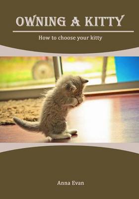 Book cover for Owning a Kitty