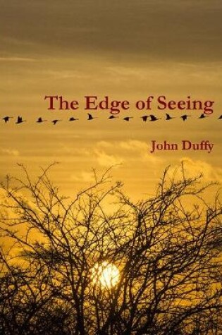 Cover of The Edge of Seeing