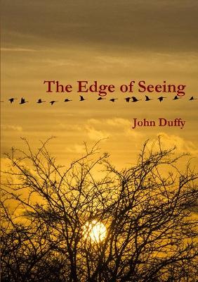 Book cover for The Edge of Seeing