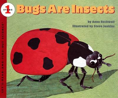 Book cover for Bugs Are Insects