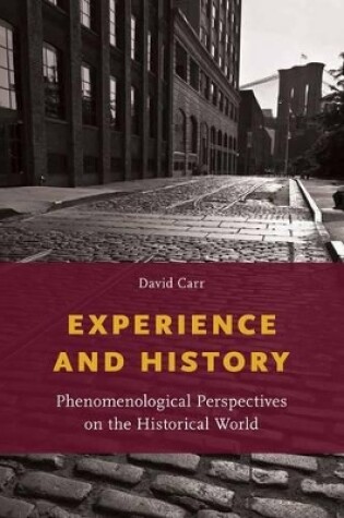 Cover of Experience and History