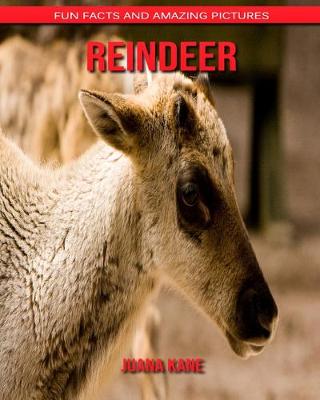 Book cover for Reindeer