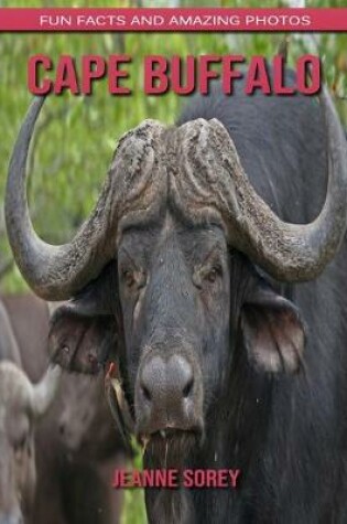 Cover of Cape Buffalo