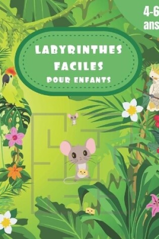 Cover of Labyrinthes Faciles Pour Enfants 4 a 6 ANS