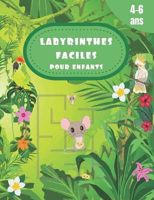 Book cover for Labyrinthes Faciles Pour Enfants 4 a 6 ANS