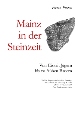 Book cover for Mainz in der Steinzeit