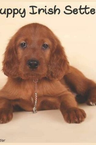 Cover of Irish Setter Puppy Calendar 2022