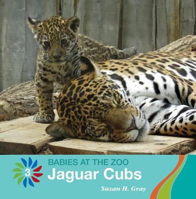 Book cover for Jaguar Cubs