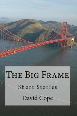 Book cover for The Big Frame