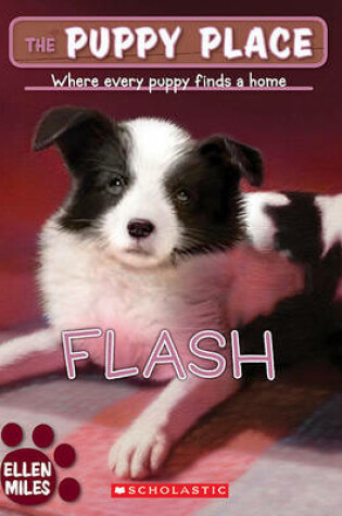 Cover of Flash