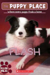 Book cover for Flash