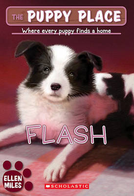 Cover of Flash