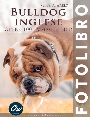 Cover of Bulldog inglese