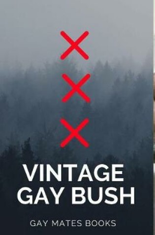 Cover of Vintage Gay Books