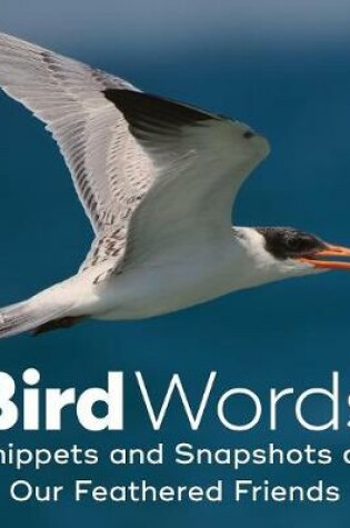 Cover of Bird Words