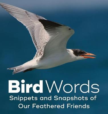 Book cover for Bird Words