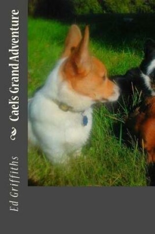 Cover of Cael's Grand Adventure