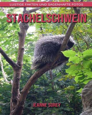 Book cover for Stachelschwein