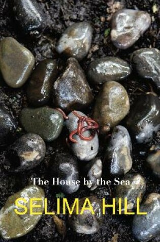 Cover of The House by the Sea