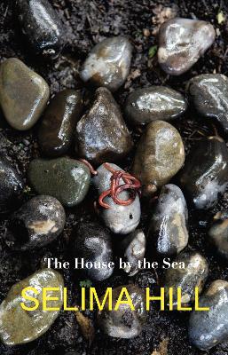 Book cover for The House by the Sea