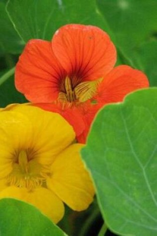 Cover of Nasturtium Cress Flowers Journal