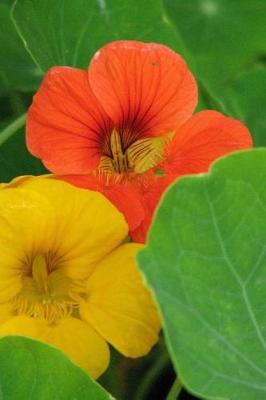 Book cover for Nasturtium Cress Flowers Journal