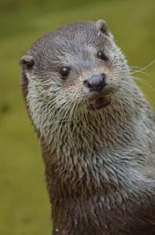 Cover of An Otter Standing Up Journal