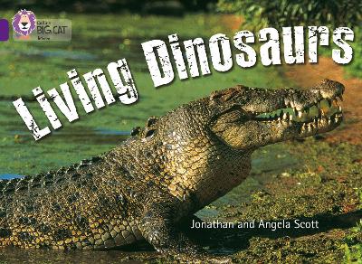 Book cover for Living Dinosaurs