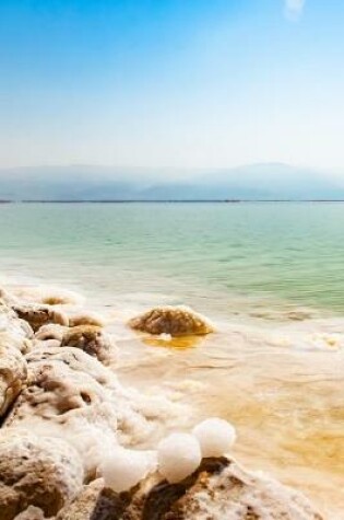 Cover of Dead Sea Coast Journal
