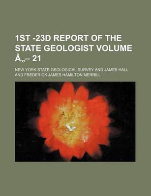 Book cover for 1st -23d Report of the State Geologist Volume a - 21