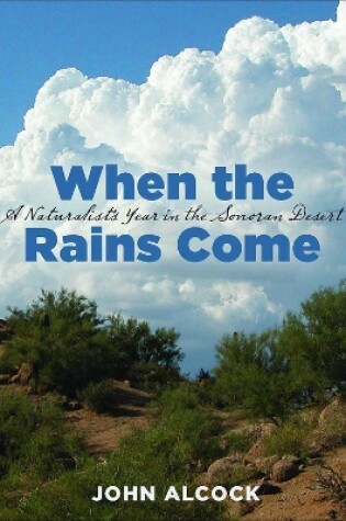 Cover of When the Rains Come