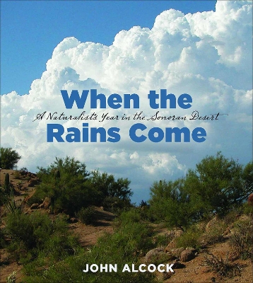 Book cover for When the Rains Come