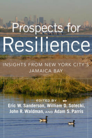 Cover of Prospects for Resilience