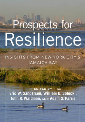 Book cover for Prospects for Resilience