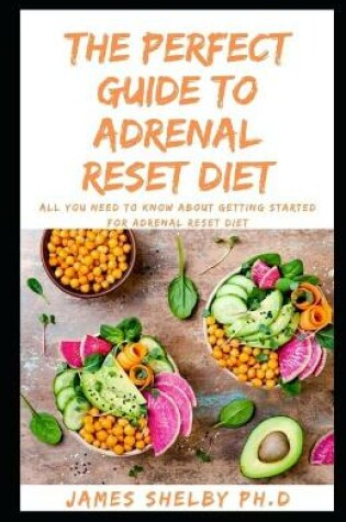 Cover of The Perfect Guide to Adrenal Reset Diet