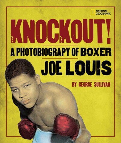 Book cover for Knockout!