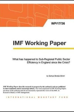 Cover of What Has Happened to Sub-Regional Public Sector Efficiency in England Since the Crisis?