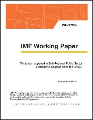 Book cover for What Has Happened to Sub-Regional Public Sector Efficiency in England Since the Crisis?