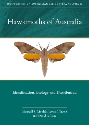 Cover of Hawkmoths of Australia