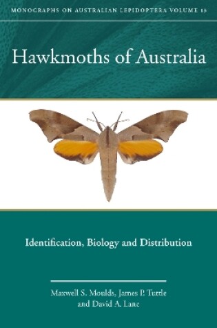 Cover of Hawkmoths of Australia