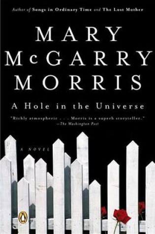 Cover of A Hole in the Universe