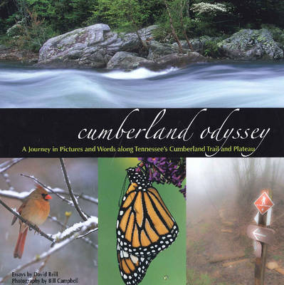 Book cover for Cumberland Odyssey
