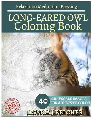 Book cover for Long-Eared Owl Coloring Book for Adults Relaxation Meditation Blessing