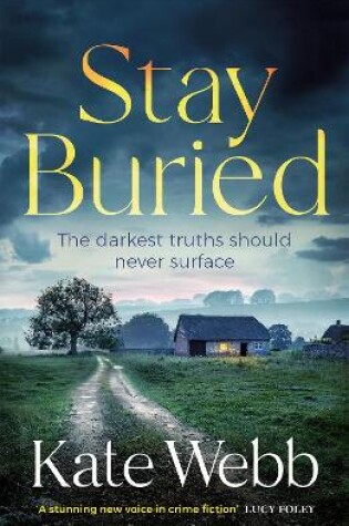 Cover of Stay Buried