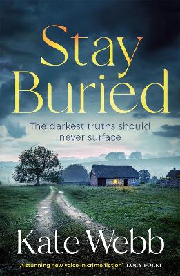 Book cover for Stay Buried