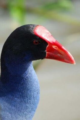 Cover of Purple Gallinule (Porphyrula Martinica) Bird Journal