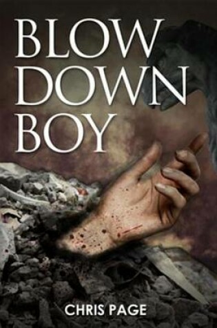 Cover of Blow Down Boy